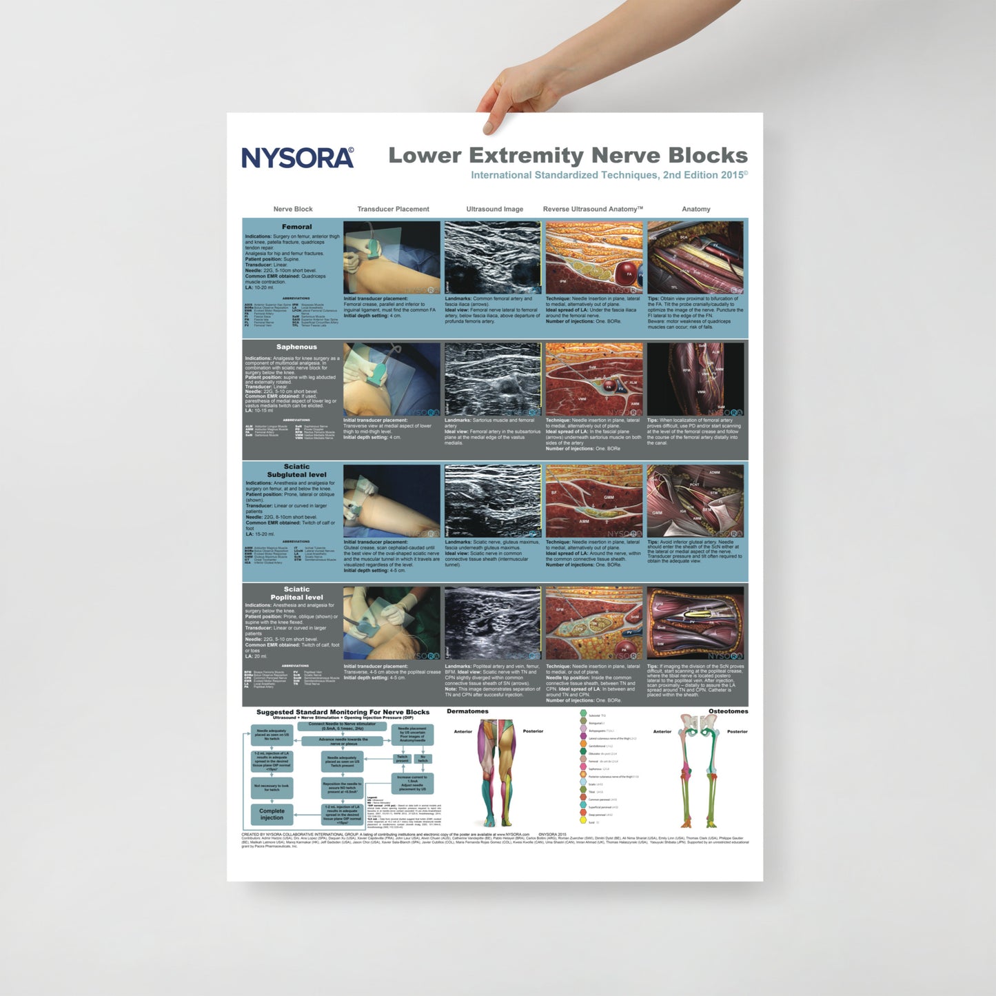 Lower Extremity Nerve Blocks Poster (cm)